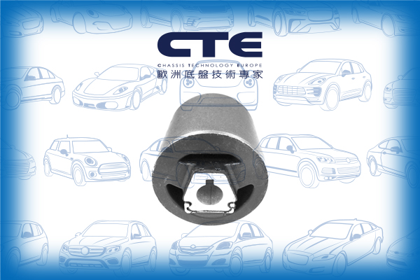 Rubber Bushing/BMW/X3 (E83)