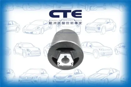 Rubber Bushing/BMW/X3 (E83)