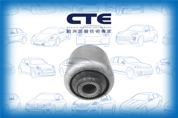 Rubber Bushing/BMW/X3 (E83)