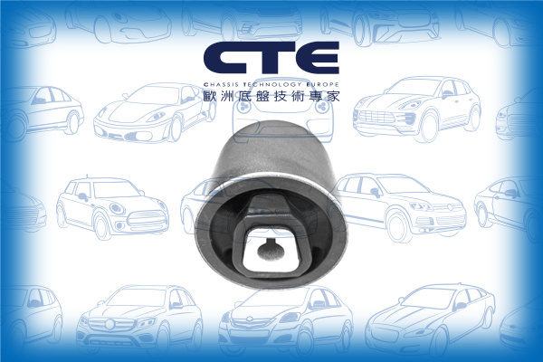 Rubber Bushing/BMW/3 (E90)/3 Coupe (E92)/3 Touring (E91)/X1 (E84)
