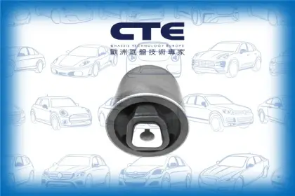 Rubber Bushing/BMW/3 (E90)/3 Coupe (E92)/3 Touring (E91)/X1 (E84)
