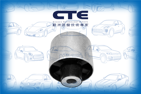 Rubber Bushing/BMW/X3 (F25)/X4 (F26)