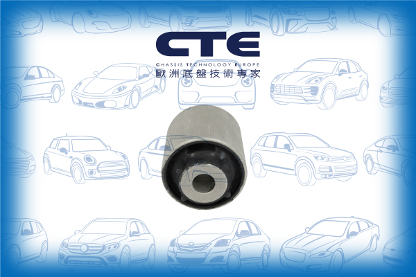 Rubber Bushing/BMW/5 (G30, F90)/5 Touring (G31)