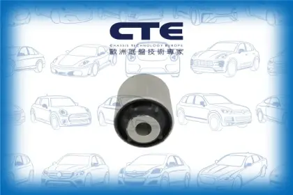 Rubber Bushing/BMW/5 (G30, F90)/5 Touring (G31)