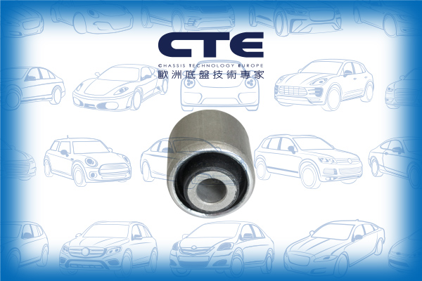 Rubber Bushing/BMW/5 (G30, F90)/5 Touring (G31)
