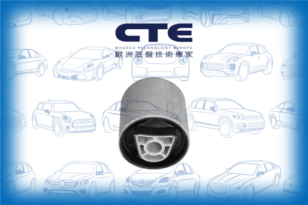 Rubber Bushing/BMW/5 (G30, F90)/5 Touring (G31)