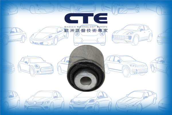 Rubber Bushing/BMW/5 (F10)/6 Coupe (F13)/6 Gran Coupe (F06)/7 (F01, F02, F03, F04)