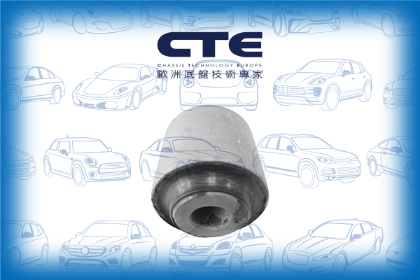 Rubber Bushing/RENAULT/CLIO I (B/C57_, 5/357_) | LUTECIA/CLIO I Hatchback Van (S57_)