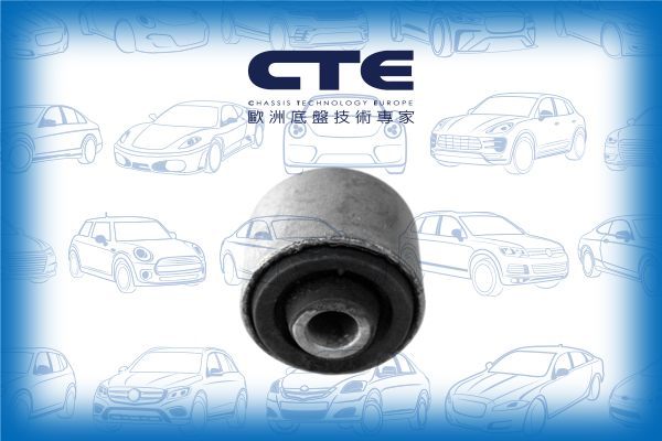 Rubber Bushing/RENAULT/MEGANE I (BA0/1_)
