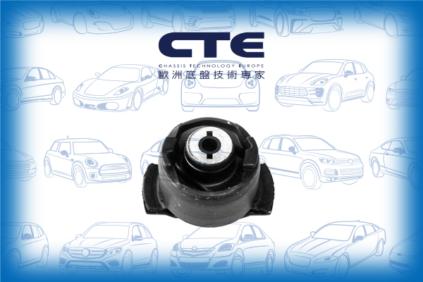 Rubber Bushing/RENAULT/LAGUNA II (BG0/1_)/LAGUNA II Grandtour (KG0/1_)/LAGUNA III (BT0/1)