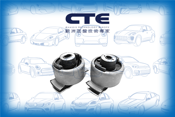Rubber Bushing/RENAULT/LAGUNA II (BG0/1_)/LAGUNA II Grandtour (KG0/1_)/LAGUNA III (BT0/1)