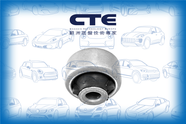 Rubber Bushing/RENAULT/LAGUNA II (BG0/1_)/LAGUNA II Grandtour (KG0/1_)/LAGUNA III (BT0/1)