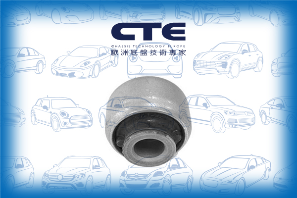 Rubber Bushing/RENAULT/LAGUNA II (BG0/1_)/LAGUNA II Grandtour (KG0/1_)/LAGUNA III (BT0/1)