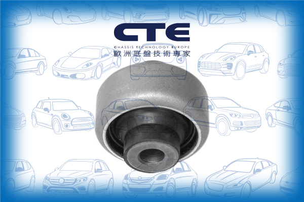 Rubber Bushing/RENAULT/CLIO III (BR0/1, CR0/1) | LUTECIA