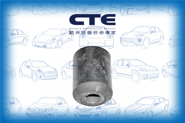 Rubber Bushing
