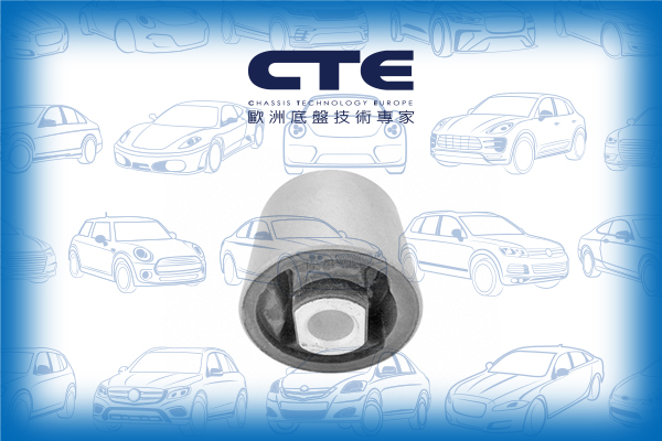 Rubber Bushing/OPEL/VAUXHALL/OMEGA (B) Estate (V94)/OMEGA (B) Saloon (V94)/OMEGA B (V94)/OMEGA B Estate (V94)