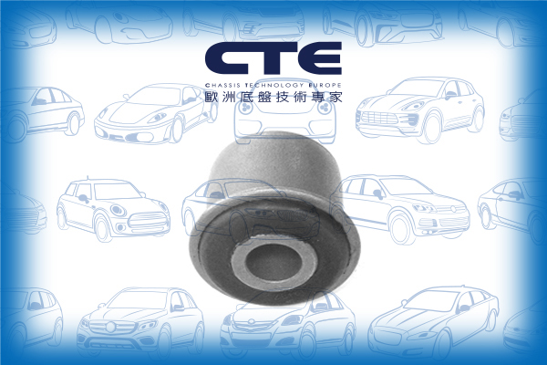 Rubber Bushing/PEUGEOT/406 (8B)