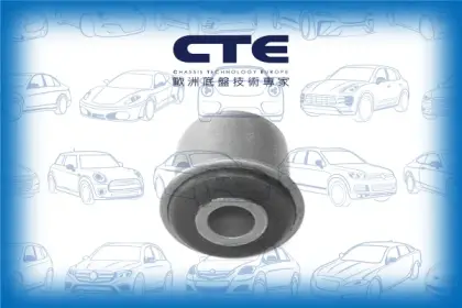 Rubber Bushing/PEUGEOT/406 (8B)