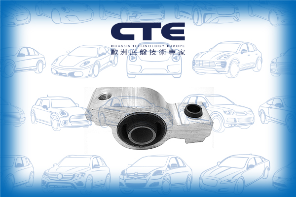 Rubber Bushing/PEUGEOT/406 (8B)