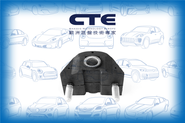 Rubber Bushing/CITROËN/PEUGEOT/106 II (1A_, 1C_)/SAXO (S0, S1) | CHANSON