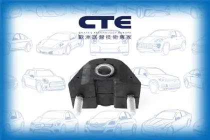 Rubber Bushing/CITROËN/PEUGEOT/106 II (1A_, 1C_)/SAXO (S0, S1) | CHANSON