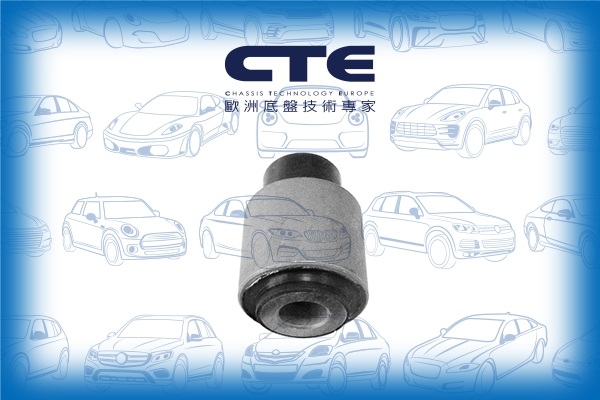 Rubber Bushing/CITROËN/PEUGEOT/106 II (1A_, 1C_)/SAXO (S0, S1) | CHANSON