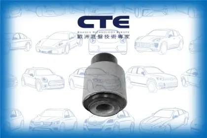 Rubber Bushing/CITROËN/PEUGEOT/106 II (1A_, 1C_)/SAXO (S0, S1) | CHANSON