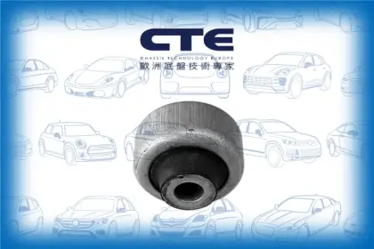 Rubber Bushing/CITROËN/OPEL/PEUGEOT/206 CC (2D)/206 Hatchback (2A/C)/206 SW (2E/K)/C4 II (NC_)/CORSA D Hatchback Van (S07)/DS5