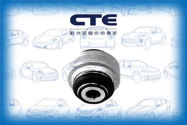 Rubber Bushing/PEUGEOT/206 CC (2D)/206 Hatchback (2A/C)/206 Saloon/206 SW (2E/K)