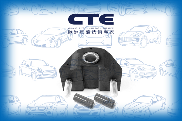 Rubber Bushing/CITROËN/PEUGEOT/106 I (1A, 1C)/106 II (1A_, 1C_)/SAXO (S0, S1) | CHANSON