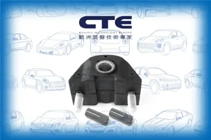 Rubber Bushing/CITROËN/PEUGEOT/106 I (1A, 1C)/106 II (1A_, 1C_)/SAXO (S0, S1) | CHANSON
