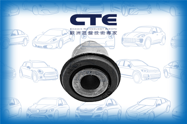 Rubber Bushing/CITROËN/PEUGEOT/106 I (1A, 1C)/106 II (1A_, 1C_)/SAXO (S0, S1) | CHANSON