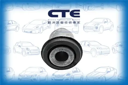 Rubber Bushing/CITROËN/PEUGEOT/106 I (1A, 1C)/106 II (1A_, 1C_)/SAXO (S0, S1) | CHANSON