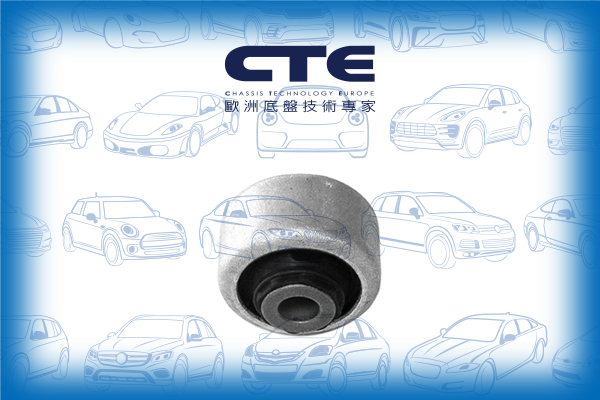 Rubber Bushing/PEUGEOT/407 (6D_)/407 Coupe (6C_)/407 SW (6E_)