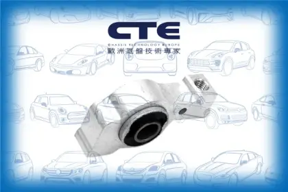 Rubber Bushing/PEUGEOT/407 (6D_)/407 Coupe (6C_)/407 SW (6E_)