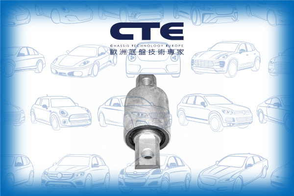 Rubber Bushing/VOLVO/S60 I (384)/S60 II (134)/S80 I (184)/V70 I (875, 876)