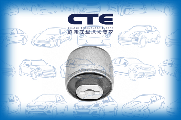 Rubber Bushing/VOLVO/S60 I (384)/S60 II (134)/S80 I (184)/V70 I (875, 876)