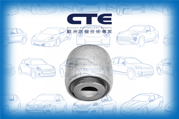 Rubber Bushing/VOLVO/S60 I (384)/S60 II (134)/S80 I (184)/V70 I (875, 876)