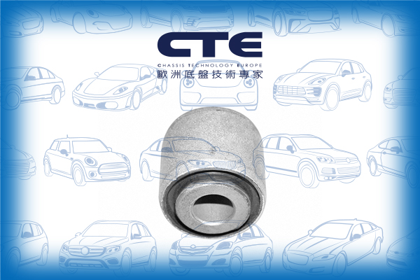 Rubber Bushing/VOLVO/S60 I (384)/S80 I (184)/V70 I (875, 876)/V70 II (285)/XC70 CROSS COUNTRY I (295) | V70 XC