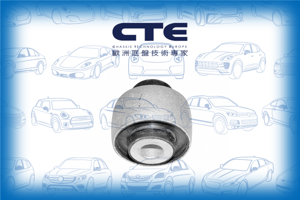 Rubber Bushing/VOLVO/S60 I (384)/S60 II (134)/S80 I (184)/V70 I (875, 876)