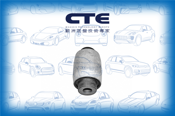 Rubber Bushing/VOLVO/S60 I (384)/S60 II (134)/S80 I (184)/V70 I (875, 876)