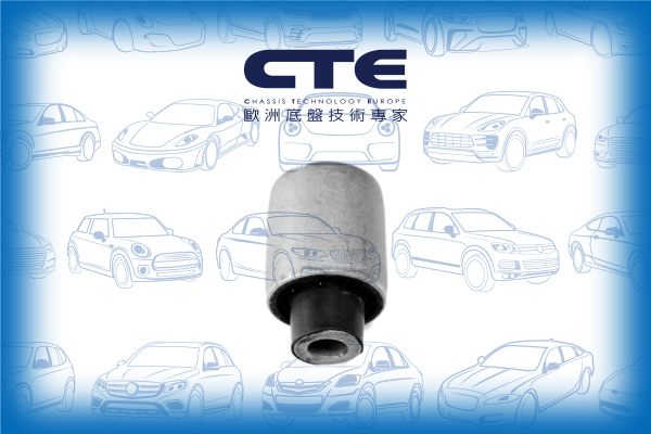 Rubber Bushing/VOLVO/S60 I (384)/S80 I (184)/V70 II (285)/XC70 CROSS COUNTRY I (295) | V70 XC/XC90 I (275)
