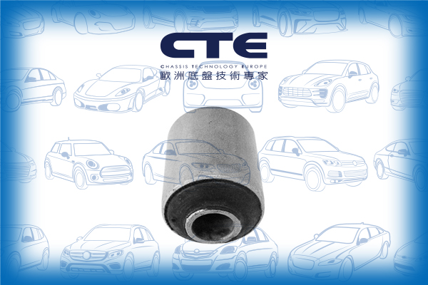 Rubber Bushing/VOLVO/S70 (874)