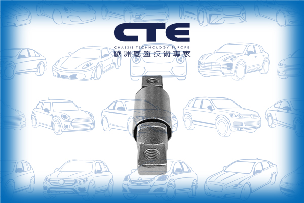 Rubber Bushing/VOLVO/850 (854)/850 Estate (855)/S70 (874)/V70 I (875, 876)