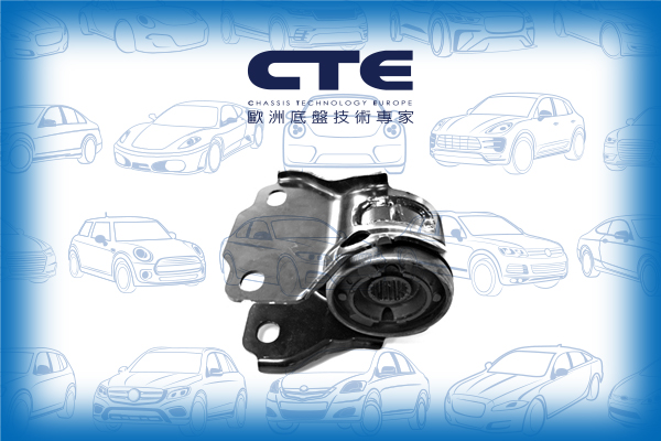 Rubber Bushing/VOLVO/S80 II (124)/V70 I (875, 876)