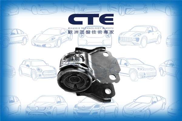 Rubber Bushing/VOLVO/S80 II (124)/V70 I (875, 876)