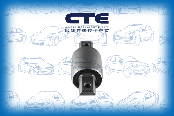 Rubber Bushing/VOLVO/XC70 CROSS COUNTRY I (295) | V70 XC