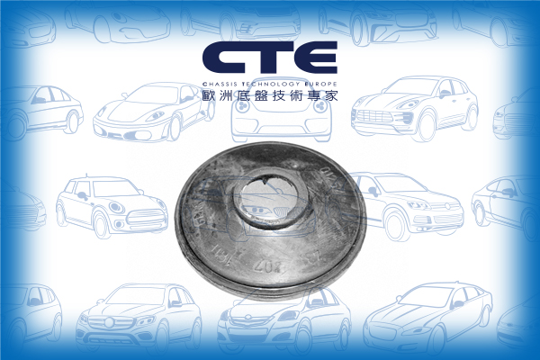 Rubber Bushing/AUDI/100 C3 Saloon (443, 444)/200 C2 Saloon (437, 438)/200 C3 Saloon (447, 448)