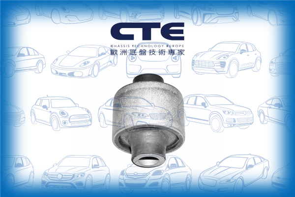 Rubber Bushing/AUDI/100 C3 Saloon (443, 444)/200 C2 Saloon (437, 438)/200 C3 Saloon (447, 448)