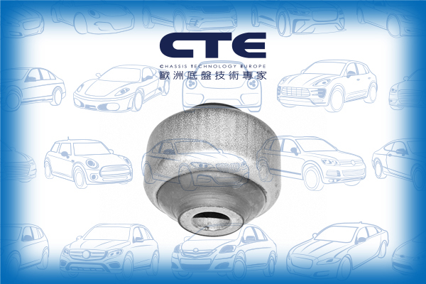 Rubber Bushing/AUDI/100 C4 Saloon (4A2)/A6 C4 (4A2)
